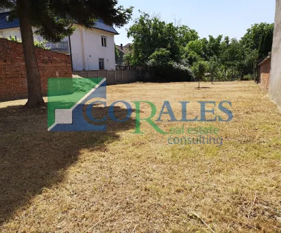 Casa Zona Telegrafului. Posibilitate investitii!